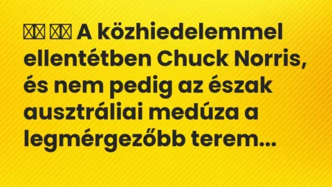 Viccek: 
		  
		  A közhiedelemmel ellentétben Chuck Norris, és nem pedig az …