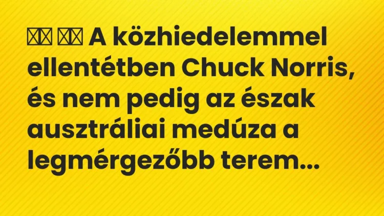 Viccek:
A közhiedelemmel ellentétben Chuck Norris, és nem pedig az … Viccek:
A közhiedelemmel ellentétben Chuck Norris, és nem pedig az …