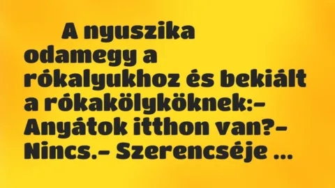 Viccek: 
		  
		  A nyuszika odamegy a rókalyukhoz és bekiált a…