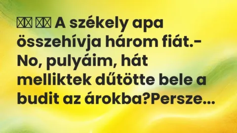 Viccek: 
		  
		  A székely apa összehívja három fiát.- No,…