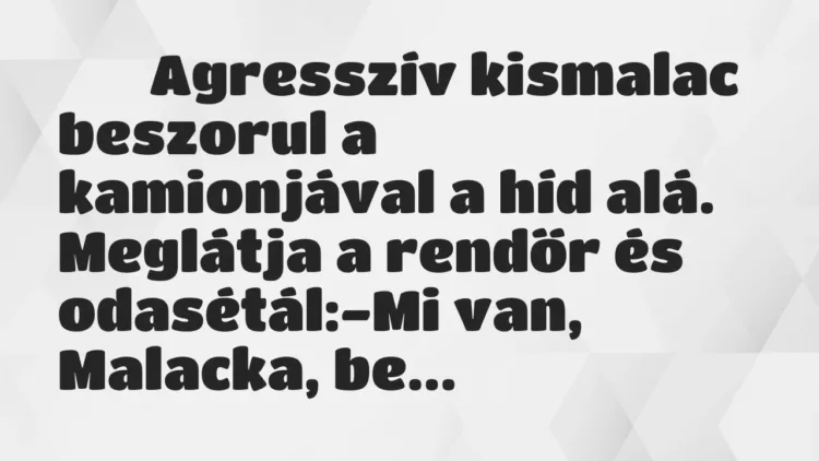 Viccek:
Agresszív kismalac beszorul a kamionjával a híd alá…. Viccek:
Agresszív kismalac beszorul a kamionjával a híd alá….