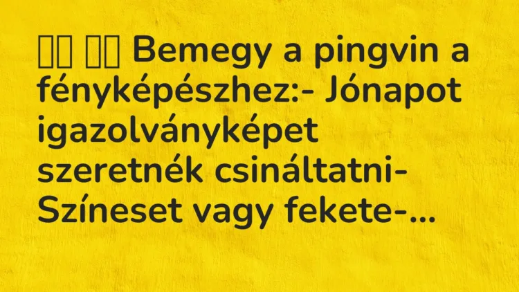 Viccek:
Bemegy a pingvin a fényképészhez:- Jónapot… Viccek:
Bemegy a pingvin a fényképészhez:- Jónapot…