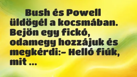 Viccek: 
		  
		  Bush és Powell üldögél a kocsmában. Bejön egy fickó,…
