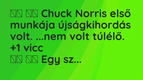 Viccek: 
		  
		  Chuck Norris első munkája újságkihordás volt. …nem volt…