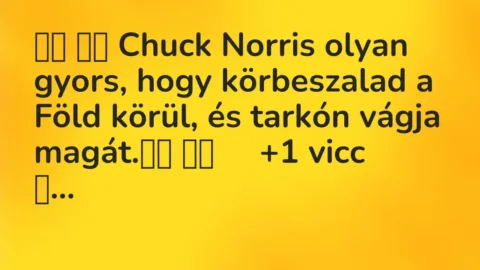Viccek: 
		  
		  Chuck Norris olyan gyors, hogy körbeszalad a Föld körül, és…