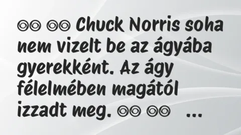 Viccek: 
		  
		  Chuck Norris soha nem vizelt be az ágyába gyerekként. Az…