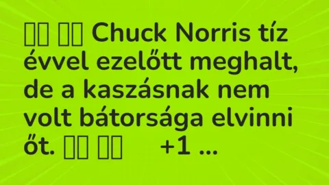Viccek: 
		  
		  Chuck Norris tíz évvel ezelőtt meghalt, de a kaszásnak nem …