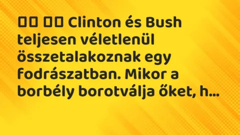 Viccek: 
		  
		  Clinton és Bush teljesen véletlenül…