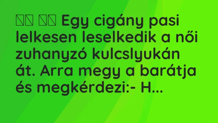 Viccek:
Egy cigány pasi lelkesen leselkedik a női… Viccek:
Egy cigány pasi lelkesen leselkedik a női…