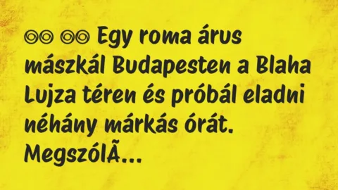 Viccek:
Egy roma árus mászkál Budapesten a Blaha Lujza téren és… Viccek:
Egy roma árus mászkál Budapesten a Blaha Lujza téren és…
