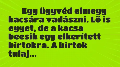 Viccek: 
		  
		  Egy ügyvéd elmegy kacsára vadászni. Lő is egyet, de a kacsa…