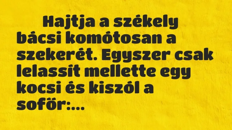 Viccek:
Hajtja a székely bácsi komótosan a szekerét. Egyszer csak… Viccek:
Hajtja a székely bácsi komótosan a szekerét. Egyszer csak…