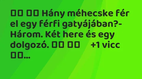 Viccek: 
		  
		  Hány méhecske fér el egy férfi gatyájában?-…
