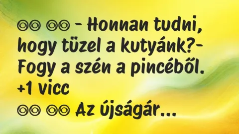 Viccek:
– Honnan tudni, hogy tüzel a kutyánk?- Fogy a szén a… Viccek:
– Honnan tudni, hogy tüzel a kutyánk?- Fogy a szén a…