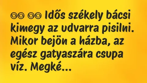 Viccek: 
		  
		  Idős székely bácsi kimegy az udvarra pisilni….