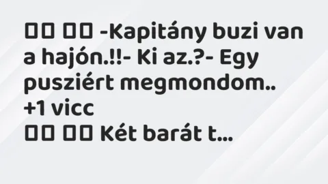 Viccek: 
		  
		  -Kapitány buzi van a hajón.!!- Ki az.?-…