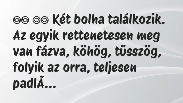 Viccek:
Két bolha találkozik. Az egyik rettenetesen meg… Viccek:
Két bolha találkozik. Az egyik rettenetesen meg…