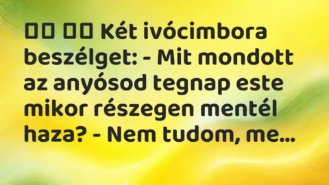 Viccek: 
		  
		  Két ivócimbora beszélget: – Mit mondott az…