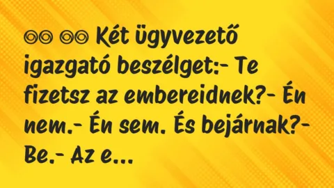 Viccek: 
		  
		  Két ügyvezető igazgató beszélget:- Te fizetsz…