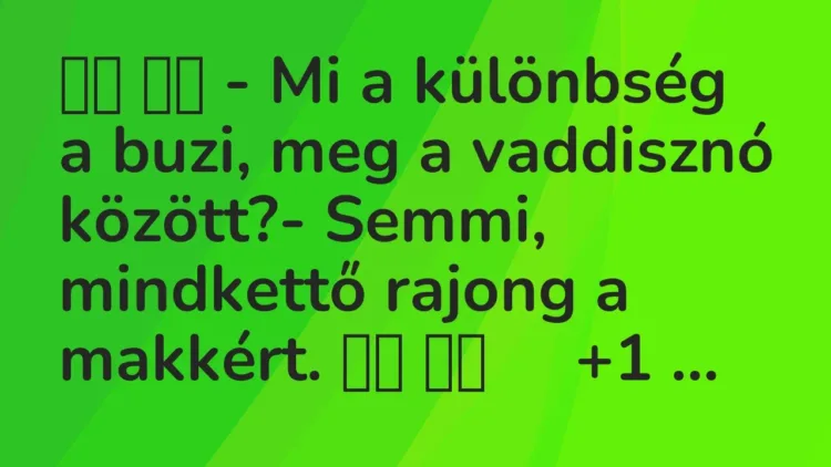 Viccek:
– Mi a különbség a buzi, meg a vaddisznó… Viccek:
– Mi a különbség a buzi, meg a vaddisznó…