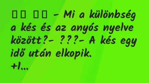 Viccek: 
		  
		  – Mi a különbség a kés és az anyós nyelve között?-…