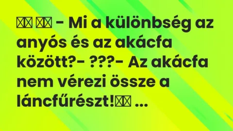 Viccek: 
		  
		  – Mi a különbség az anyós és az akácfa között?-…