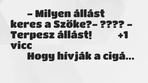 Viccek: 
		  
		  – Milyen állást keres a Szőke?- ???? -…