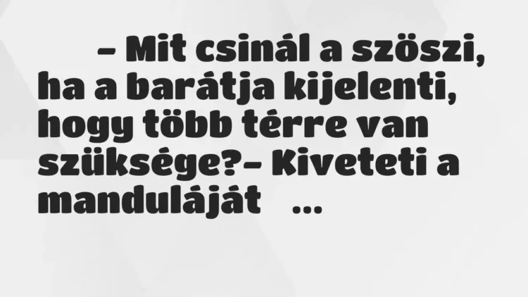 Viccek:
– Mit csinál a szöszi, ha a barátja kijelenti,… Viccek:
– Mit csinál a szöszi, ha a barátja kijelenti,…