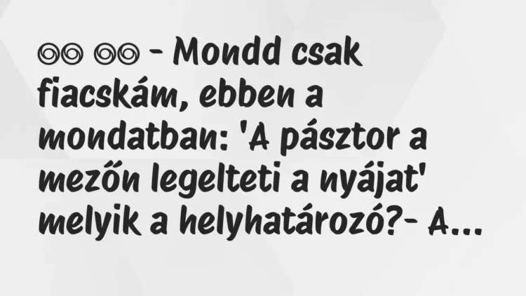 Viccek:
– Mondd csak fiacskám, ebben a mondatban: ‘A… Viccek:
– Mondd csak fiacskám, ebben a mondatban: ‘A…