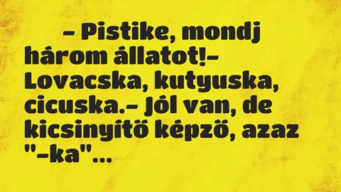 Viccek:
– Pistike, mondj három állatot!- Lovacska, kutyuska,… Viccek:
– Pistike, mondj három állatot!- Lovacska, kutyuska,…