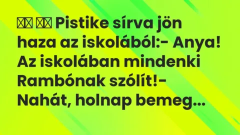 Viccek: 
		  
		  Pistike sírva jön haza az iskolából:- Anya! Az…