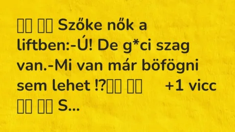 Viccek: 
		  
		  Szőke nők a liftben:-Ú! De g*ci szag…