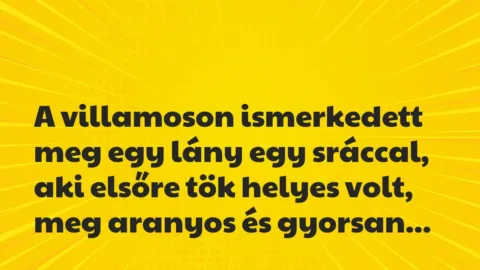 Vicces történet:
A villamoson ismerkedett meg egy lány… Vicces történet:
A villamoson ismerkedett meg egy lány…