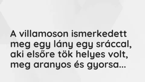 Vicces történet: 
	    	    


A villamoson ismerkedett meg egy lány egy…