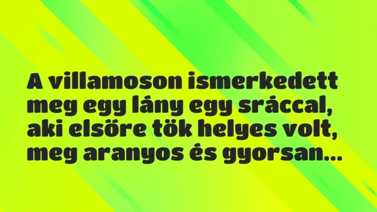 Vicces történet:
A villamoson ismerkedett meg egy lány… Vicces történet:
A villamoson ismerkedett meg egy lány…