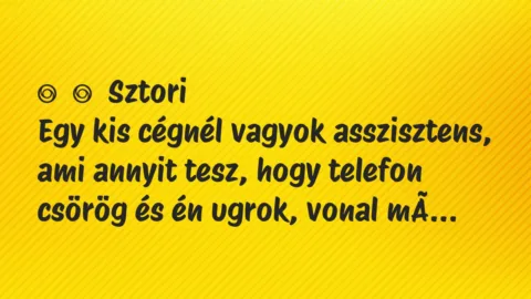 Vicces történet: 
	    	    Sztori


Egy kis cégnél vagyok asszisztens, ami annyit tesz,…