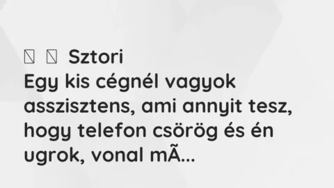 Vicces történet:
Sztori
Egy kis cégnél vagyok asszisztens, ami annyit tesz,… Vicces történet:
Sztori
Egy kis cégnél vagyok asszisztens, ami annyit tesz,…