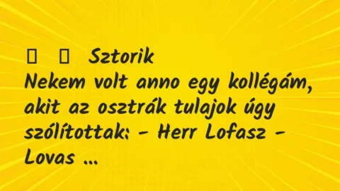 Vicces történet: 
	    	    Sztorik


Nekem volt anno egy kollégám, akit az osztrák…