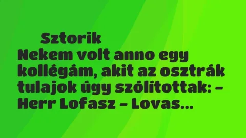 Vicces történet: 
	    	    Sztorik


Nekem volt anno egy kollégám, akit az osztrák tulajok …