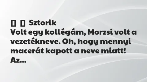 Vicces történet: 
	    	    Sztorik


Volt egy kollégám, Morzsi volt a vezetékneve….
