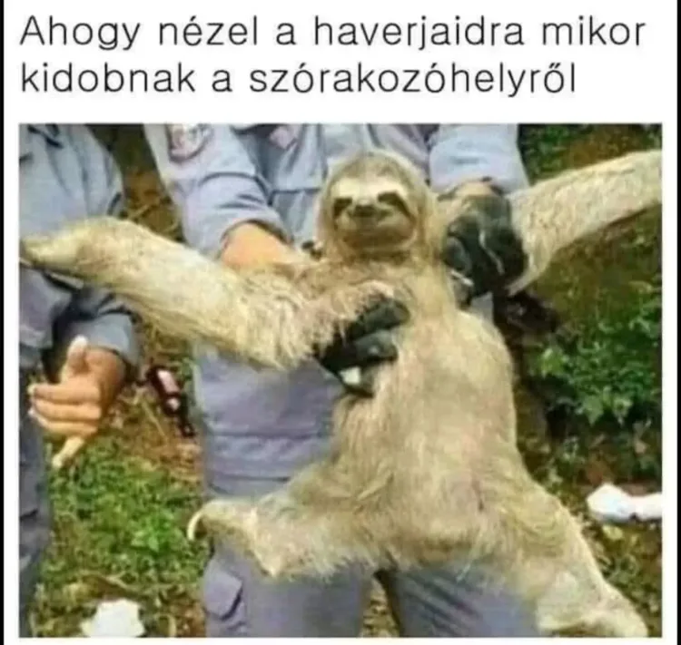 #VK1764734042 #VK1764734042
