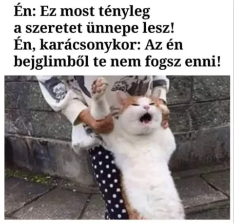 #VK1765856528