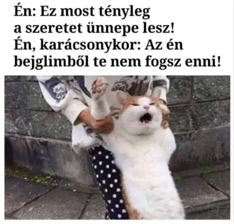 Ez most tényleg a szeretet ünnepe lesz... Ez most tényleg a szeretet ünnepe lesz...