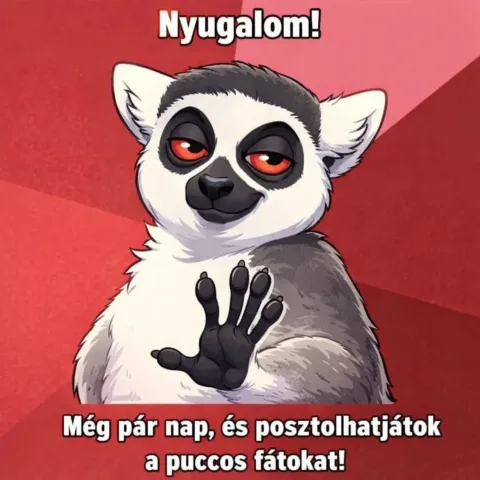 #VK1766505246
