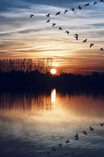 “A tegnap történelem. A holnap rejtély. A mai nap: ajándék.”
Eleanor Roosevelt #I1764786604