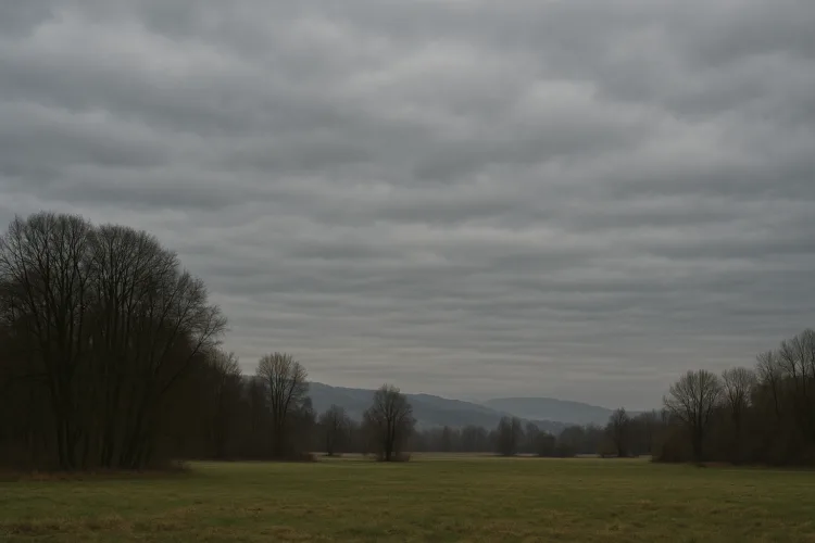 Alacsony nappali csúcsok, makacs felhők – így alakul a holnapi időjárás december 14-én Alacsony nappali csúcsok, makacs felhők – így alakul a holnapi időjárás december 14-én