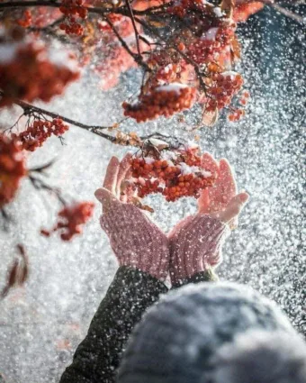 „Az élet rövid, élj. A szeretet ritka, ragadd meg. A harag rossz, engedd el. A f… #I1764961378