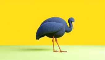 Meglőpő, de igaz: a világ legnagyobb madara, ami nem tud repülni!