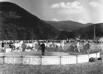 Szilvásvárad, első ízben rendezték meg a Bükk hegység festői szépségű környezeté… #RK1764243601