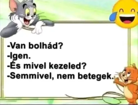 #VK1764604826